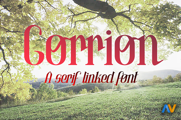 Gorrion preview 5