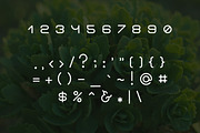 Flawourite serif typeface, a Slab Serif Font by Magda (Thumbnail 3 of 4)