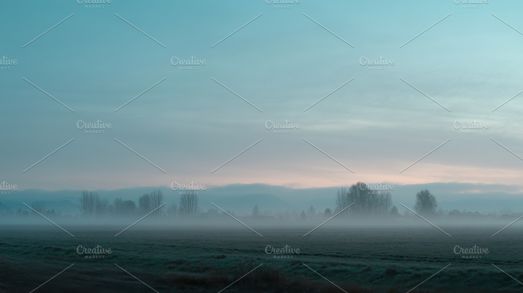 Morning Fog Over Field, a Nature Photo by Virgo Studio