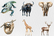 Watercolor Wildlife Nature Animals, an Animal Illustration by Rose Art (Thumbnail 4 of 4)