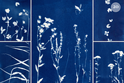 CYANOTYPE Botanical Backgrounds, a Background Graphic by Alisovna (Thumbnail 6 of 15)