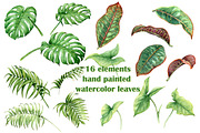 Watercolor Tropical Plants, a Decorative Illustration by Valentyna Smordova (Thumbnail 3 of 6)
