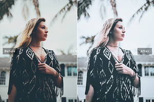 Ash Tone Pro Lightroom Presets