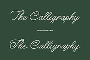 ED Leonstein - handwritten script, a Handwritten Font by Emyself Design (Thumbnail 4 of 10)