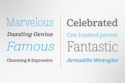 Cabrito, a Serif Font by insigne (Thumbnail 2 of 4)