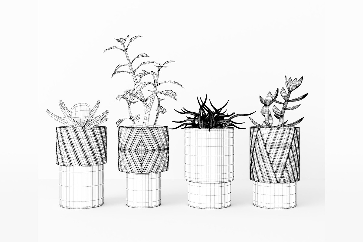 Decorative Plants, a Furniture 3D Model by 3DCargo (Photo 7 of 9)