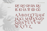 Atteron-Elegant Serif Font, a Serif Font by din-studio.com (Thumbnail 10 of 16)