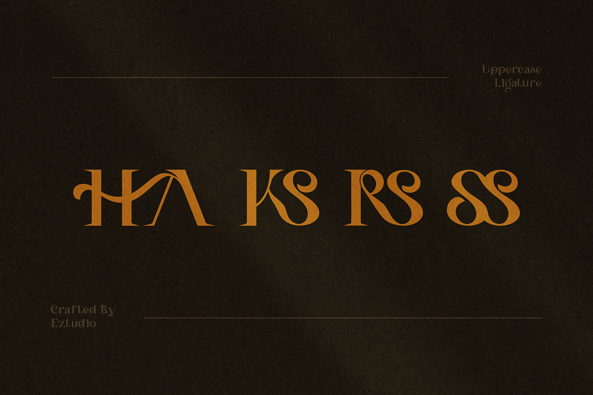 Attilla Sándora, a Handwritten Font by Eztudio (Photo 12 of 15)