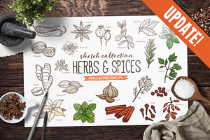 UPDATE! Herbs And Spices Sketches