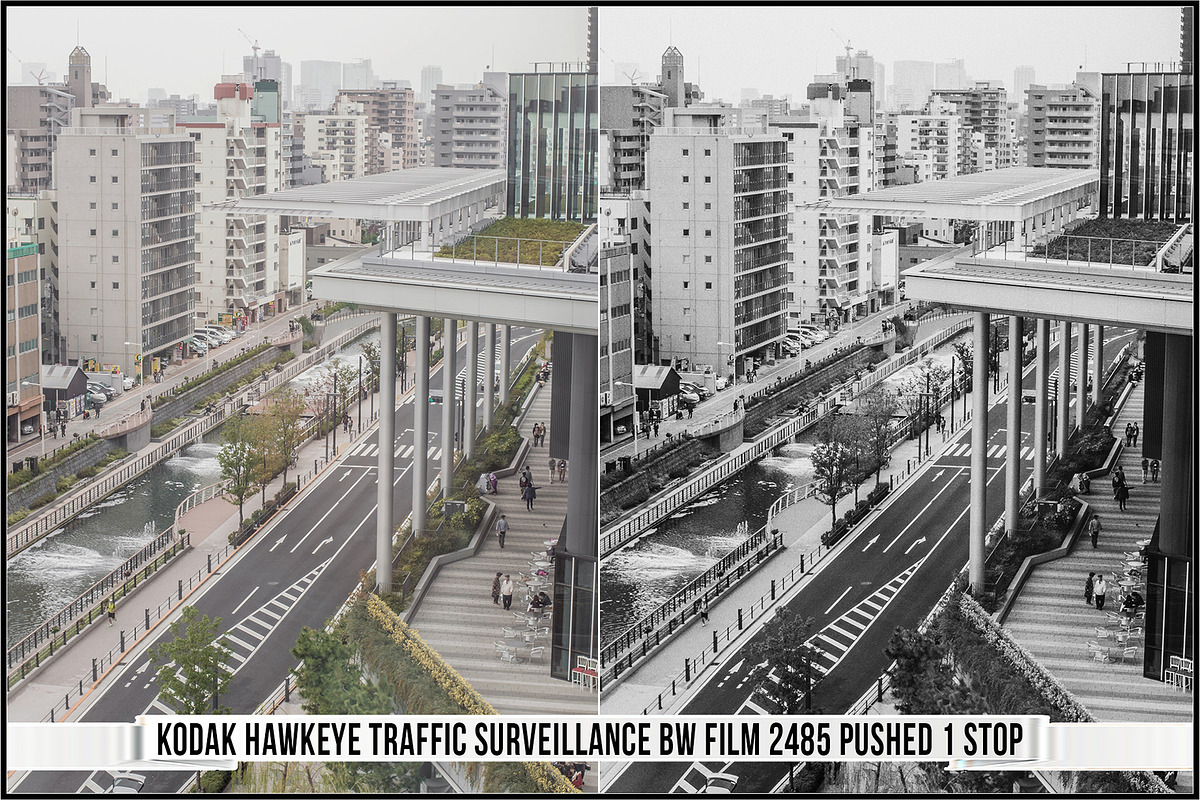 Eastman Kodak Black White Films LUTs, a Plug-in Add-On by Raztrend (Photo 22 of 30)