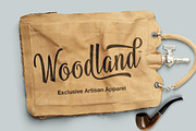 Atlantika (25% off), a Script Font by artimasa (Thumbnail 5 of 5)