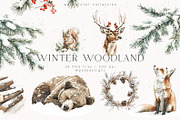 Winter Woodland, an Animal Illustration by PeDe Designs (Thumbnail 1 of 8)