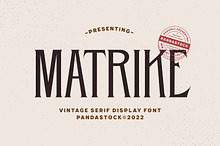 Matrike - Tall Condensed Serif Font