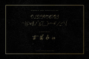 Charlotte Script, a Script Font by Chocotype Std (Thumbnail 6 of 10)