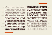 Kaligawe, a Sans Serif Font by Locomotype (Thumbnail 9 of 12)