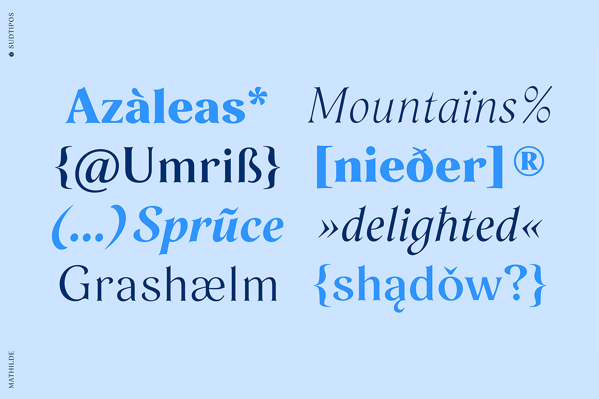 Mathilde, a Serif Font by Sudtipos (Photo 2 of 8)