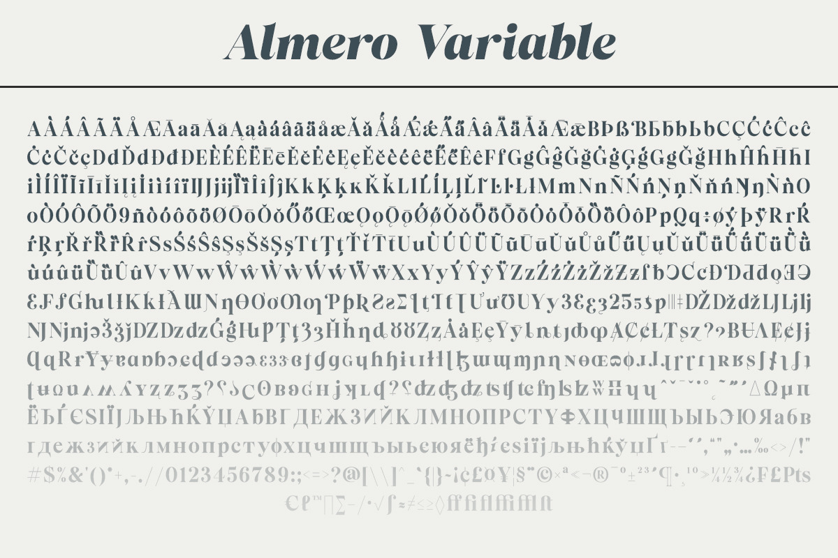 Almero Serif Family, a Serif Font by Zane Studio (Photo 8 of 11)