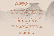 Brietyal Script | a handwritten font, a Script Font by Beautypes (Thumbnail 7 of 8)