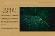 Alocasia-Trio Font Combination, a Script Font by Burntilldead (Thumbnail 8 of 17)