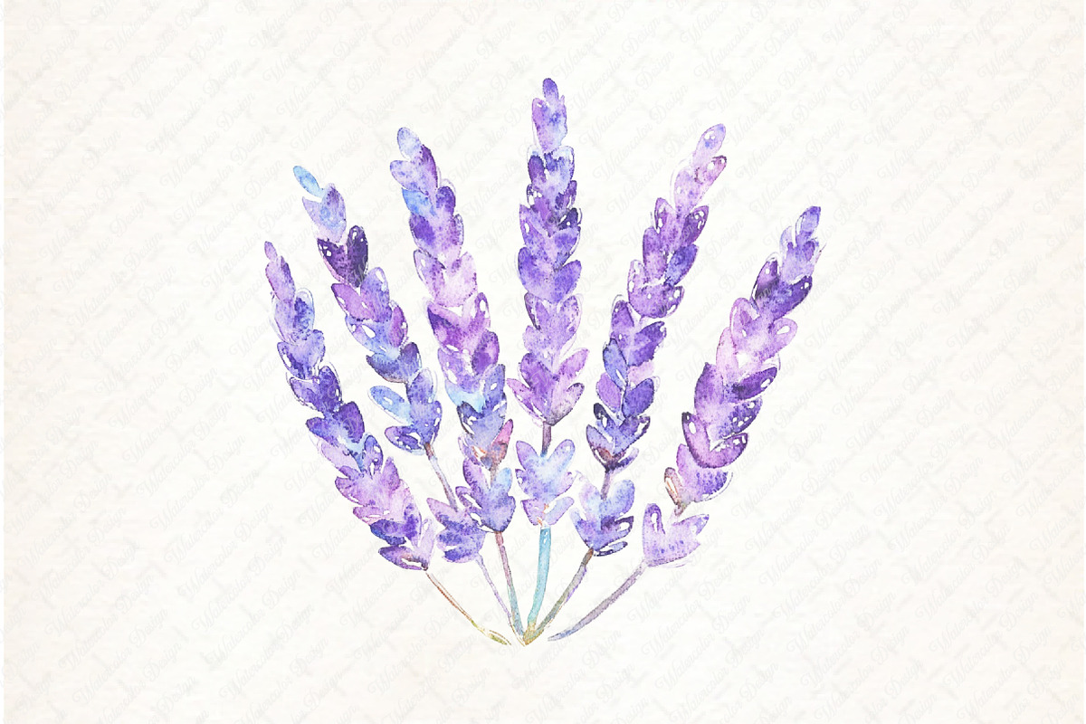 Lavender Mother’s Day Clipart, an Illustration by Watercolor design (Photo 10 of 13)