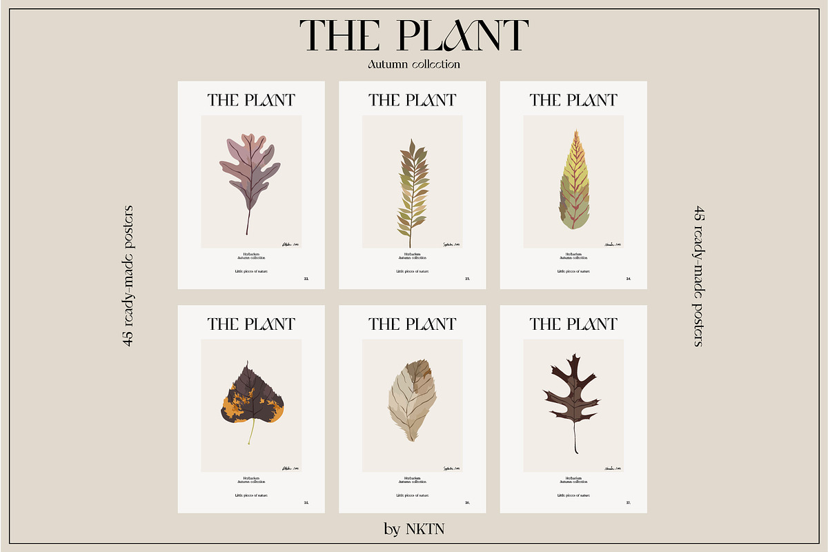 The PLANT. Autumn collection, a Pattern Graphic by NKTN (Photo 15 of 18)