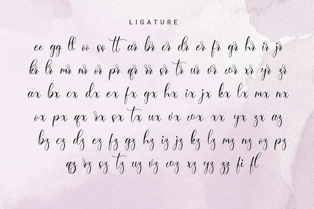 Sandara Script- A Modern Calligraphy, a Script Font by RHD Creative Studio (Photo 12 of 12)