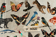 My sweet memories. Nostalgic vibe, an Object Graphic by Natali Batu (Thumbnail 10 of 16)