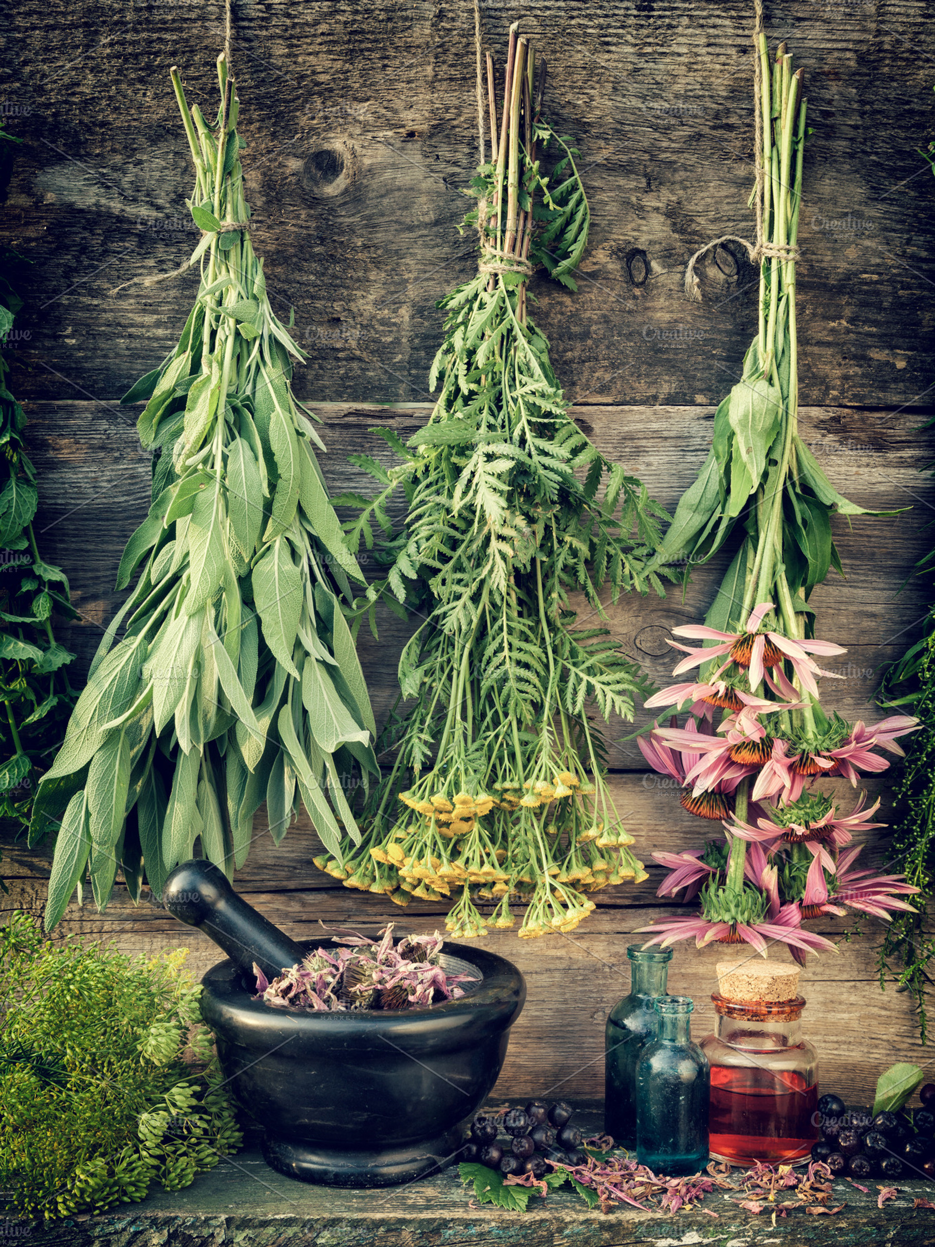Healing herbs, herbal medicine., a Health & Medical Photo by chamillewhite