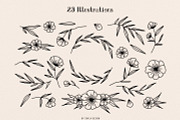 Ciera watercolor svg font & florals, a Script Font by Angele Kamp (Thumbnail 4 of 10)