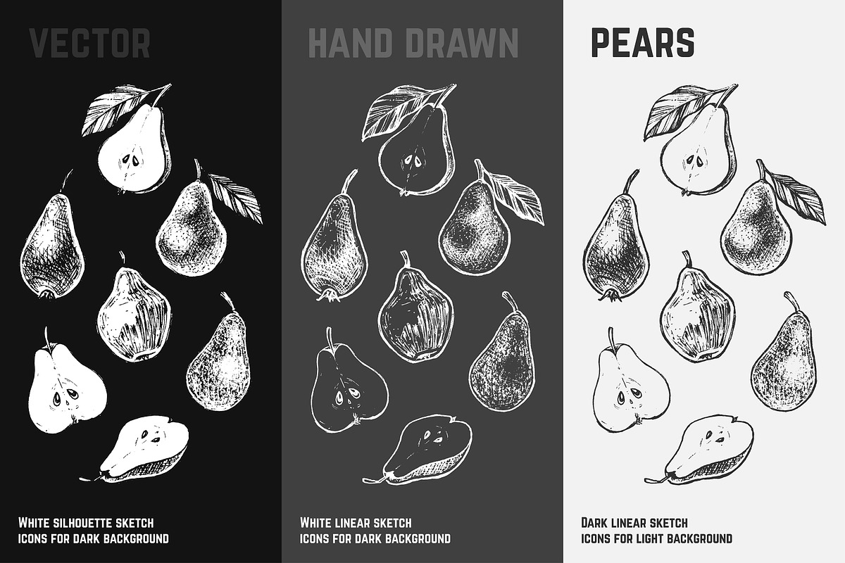 Fruits - hand drawn vector set, a Food Illustration by Margo Miller (Photo 24 of 25)
