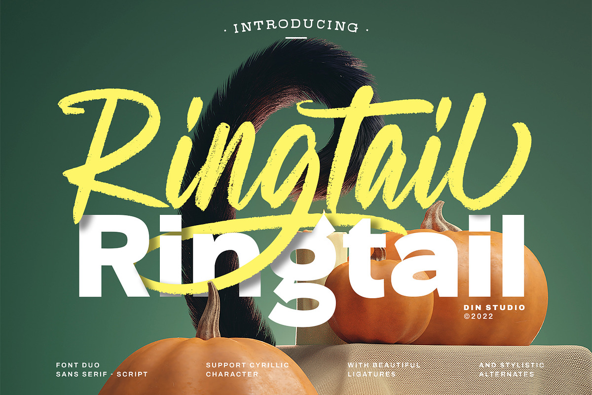 Ringtail, a Sans Serif Font by din-studio.com (Photo 1 of 10)