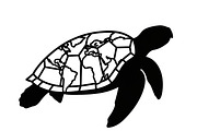 World Map Sea Turtle Bundle, an Illustration by Gaye Art (Thumbnail 20 of 31)