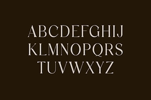 Discographica Classic Serif Font