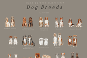 Dod Breeds - watercolor set, an Animal Illustration by Youksy (Thumbnail 2 of 18)