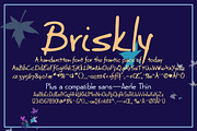 Briskly script & Aerle Thin sans, a Script Font by Radiqx Press (Thumbnail 2 of 3)
