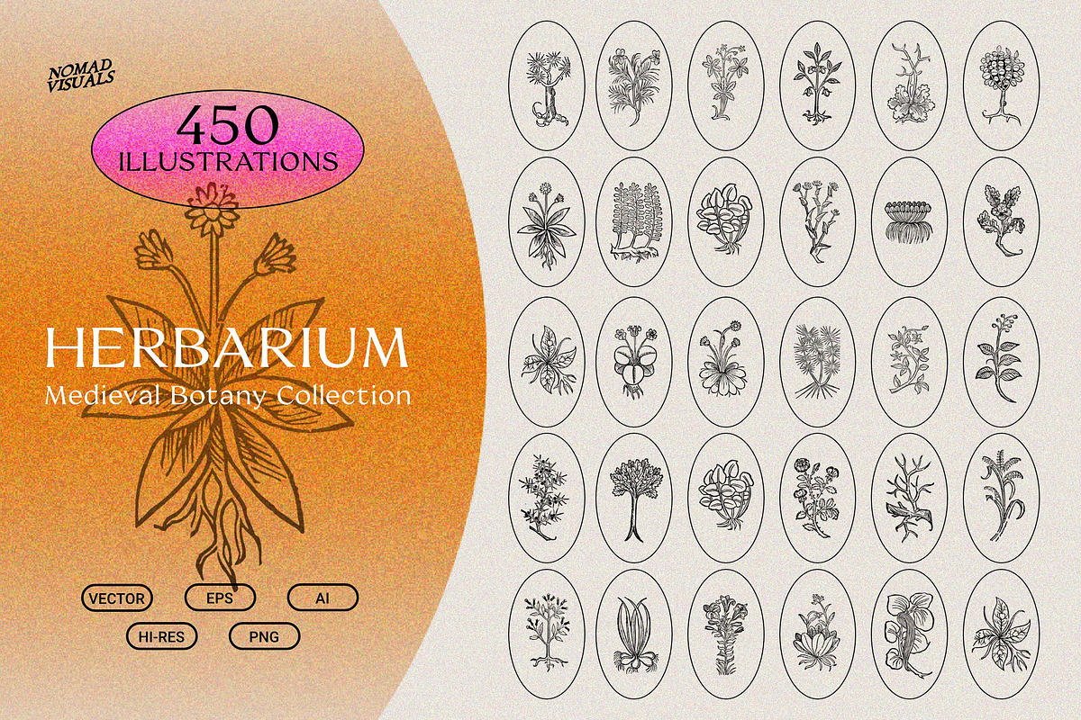 Vintage Bundle - 6600+ Illustrations, an Animal Illustration by Nomad Visuals (Photo 18 of 45)