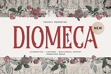 Diomeca - Romantic Gothic Typeface