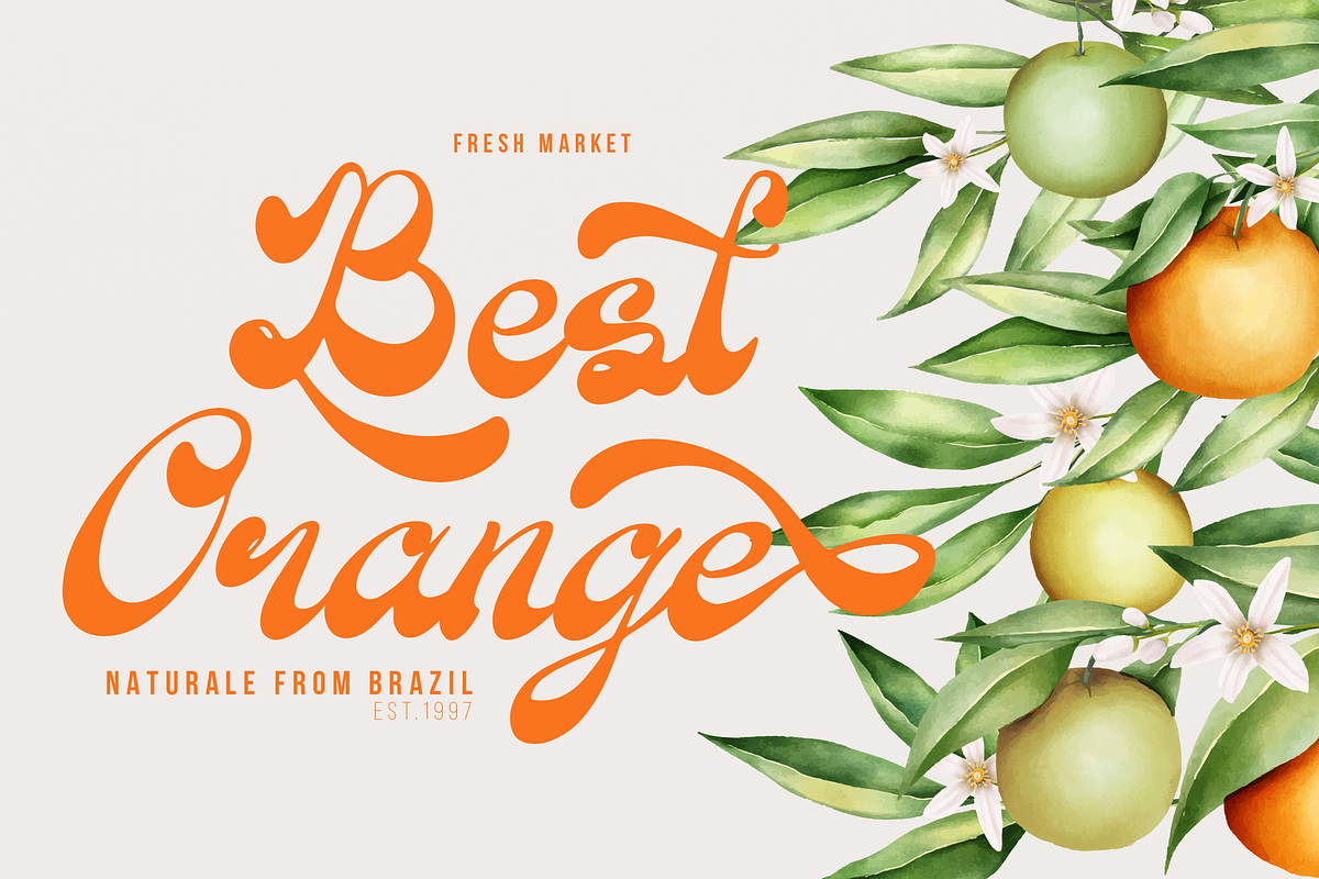 Parlein Santiqa | Classic Script, a Script Font by Denustudios (Photo 2 of 15)