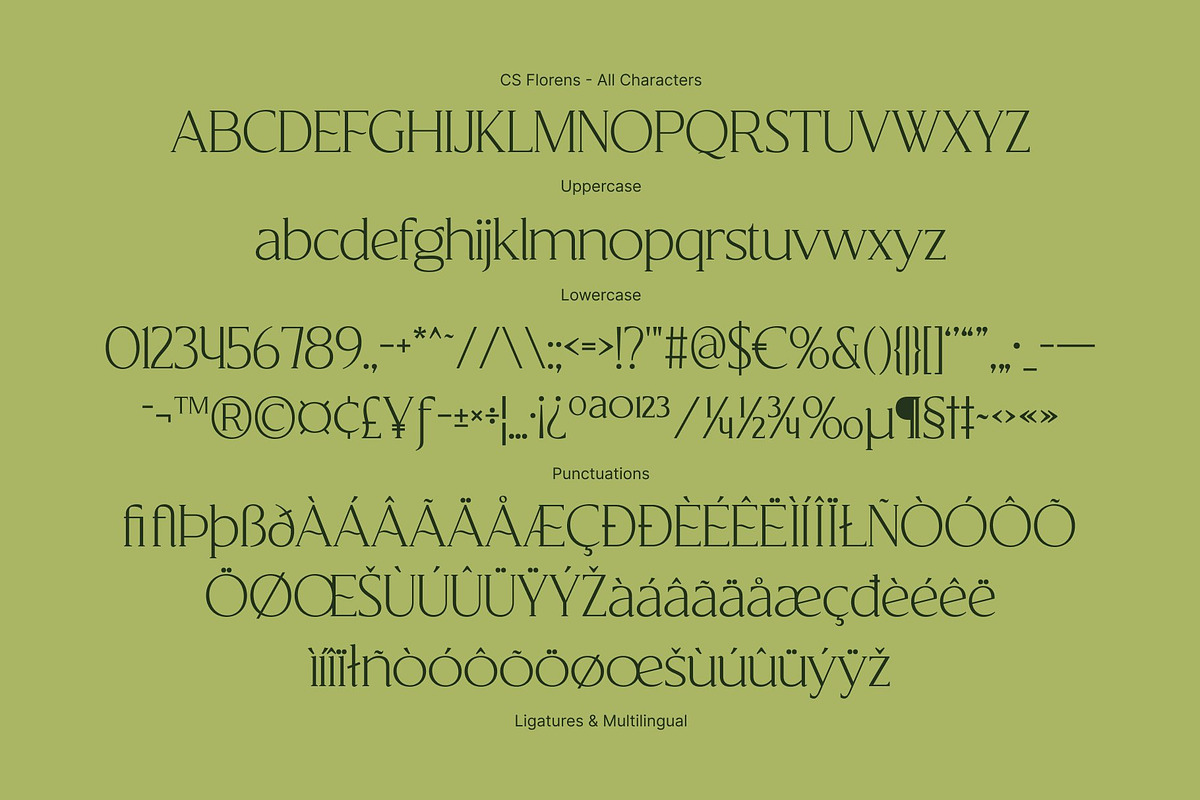 CS Florens – Elegant Serif Font, a Serif Font by Craft Supply Co. (Photo 8 of 8)