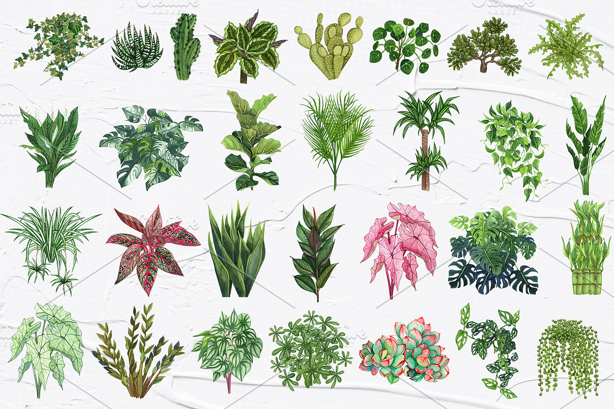 Potted Plants Watercolor clipart, an Object Illustration by BarvArt (Photo 4 of 8)