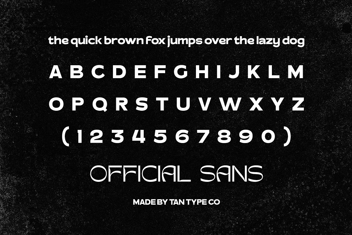 TAN - OFFICIAL, a Sans Serif Font by TanType (Photo 11 of 11)