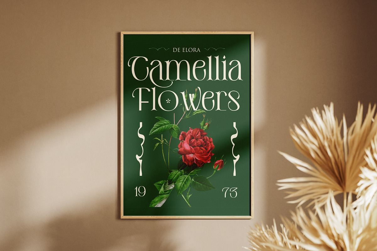 De Elora | Contemporary Art Nouveau, a Sans Serif Font by StoricType (Photo 16 of 17)