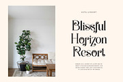 Radiker Elegant Ligature Serif Font, a Serif Font by Perfectype (Thumbnail 4 of 6)