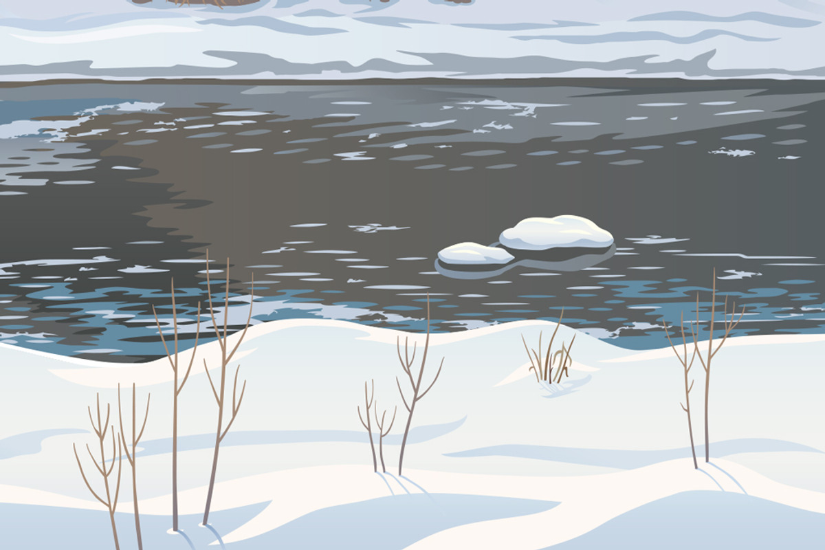 Winter forest with Fox, an Animal Illustration by Countryside life (Photo 7 of 10)