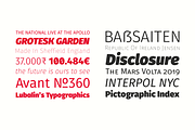 Gardenia Typeface 85%OFF, a Font by W Type Foundry (Thumbnail 5 of 14)