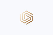 Hexagonal Geometric Linear Logo, a Branding & Logo Template by Signatoro (Thumbnail 2 of 3)