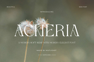 Acheria - Modern Soft Serif, a Serif Font by Muflieart