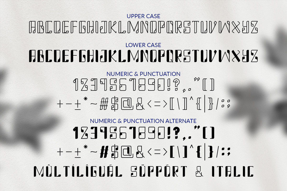 ALIGAN, a Font by BringTypeStudio (Photo 2 of 7)