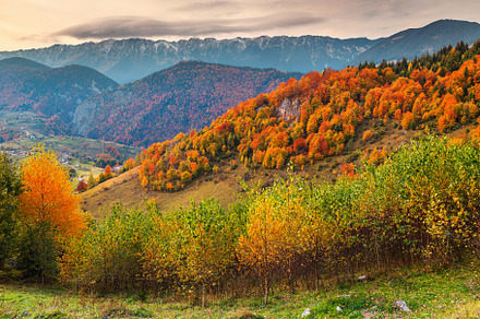 Bus In The Fall preview 4