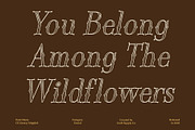 CS Greasy Stippled, a Serif Font by Craft Supply Co. (Thumbnail 4 of 8)